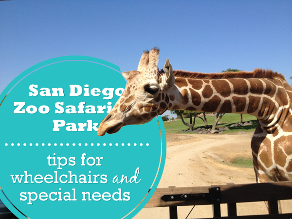 san diego zoo safari park special needs and wheelchair accessibility