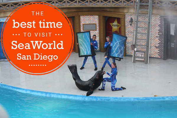 the best time to visit seaworld san diego