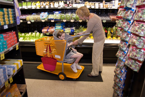Caroline's Cart grocery cart for special needs