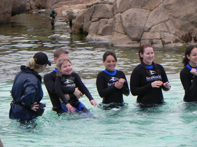 SeaWorld San Diego with special needs kids