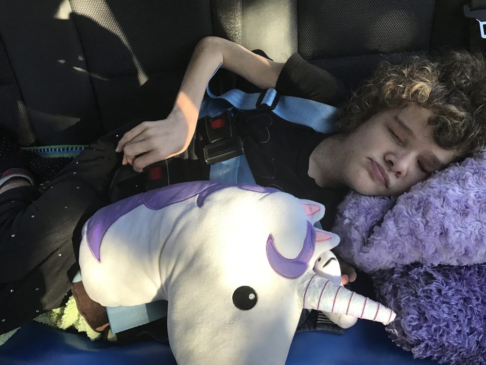 E-Z-ON Vest : Seatbelt for Laying Down in the Car